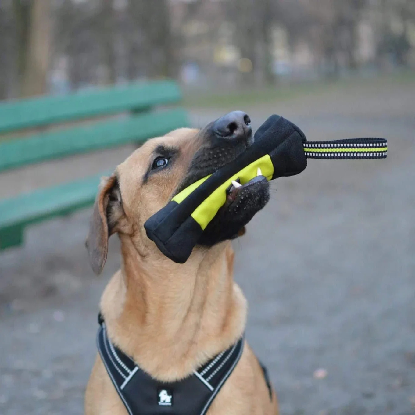Truelove Hondentraining Retrie - Food Storage Roll Bags recensie en prijs